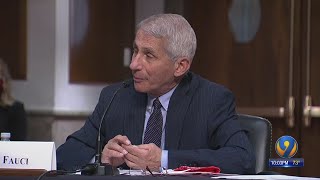 Fauci warns of 100,000 US cases per day