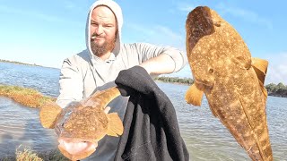 Cast Netting BIG FLATHEAD Catch And Cook Bream On River Bank