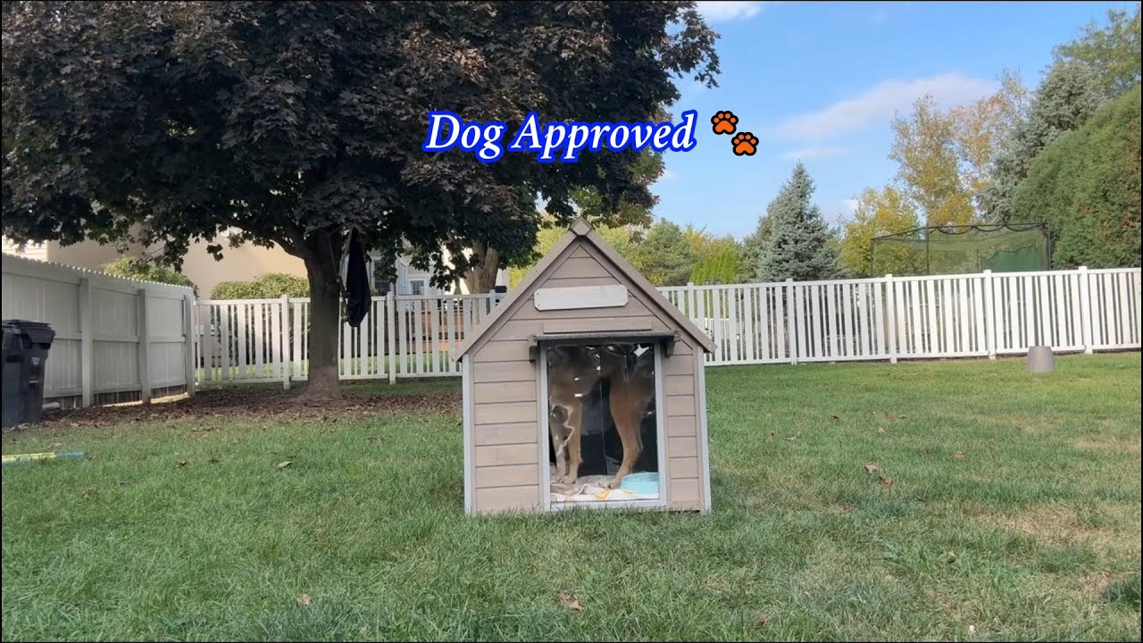 Dog Approved 🐶 | A Cozy Outdoor Dog House for Everyday Comfort