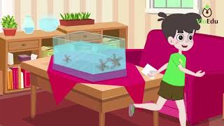 Toán 5: Thể tích hình hộp chữ nhật