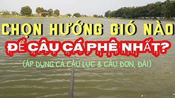 CÁCH TÔI CHỌN HƯỚNG GIÓ VÀ VỊ TRÍ ĐỂ CÂU CÁ HIỆU QUẢ. Bí mật này không ai nói với bạn đâu