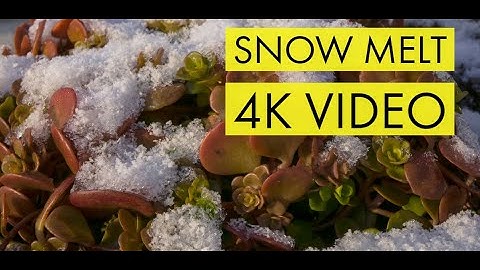 Snowmelt in 4K Video