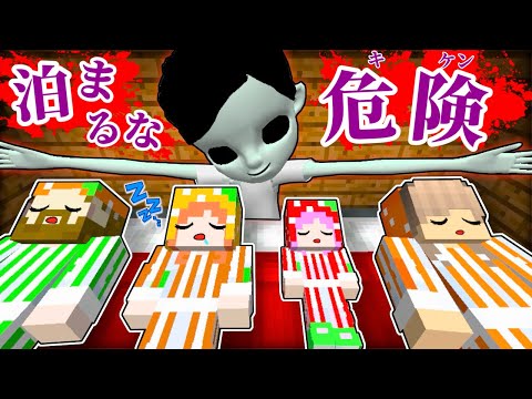 ここちゃんさん HARU | . . . . ここちゃんの 「じーたんとNiziU踊りたい