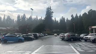 Out of Safeway in Kirkland, WA