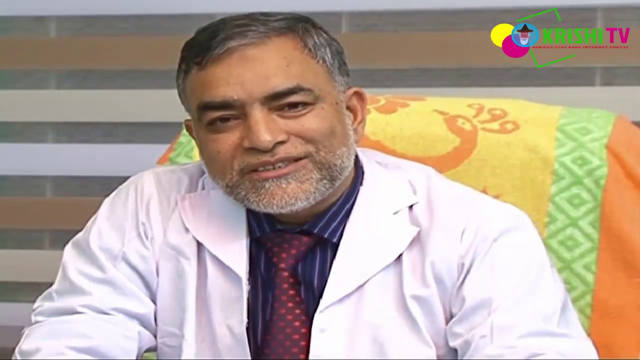 Health Tips .. Fever.. Krishi tv raj rafiq - YouTube