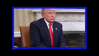 Trump responds to report he watches 8 hours of tv everyday