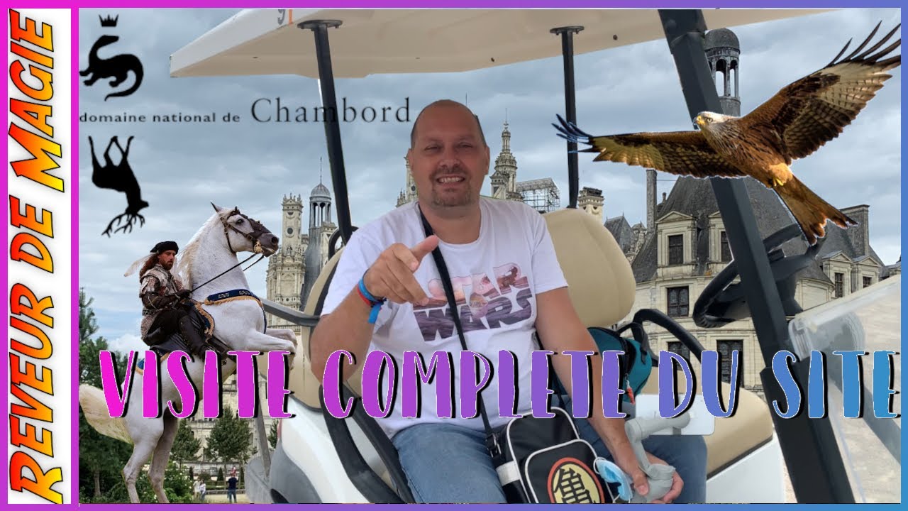 Visite château de Chambord / Spectacle chevaux et rapaces / Tour de buggy complet Chambord