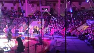 The Jaffa Shrine Circus Experience