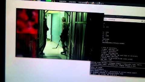 MPlayer test with crop and multiple instances