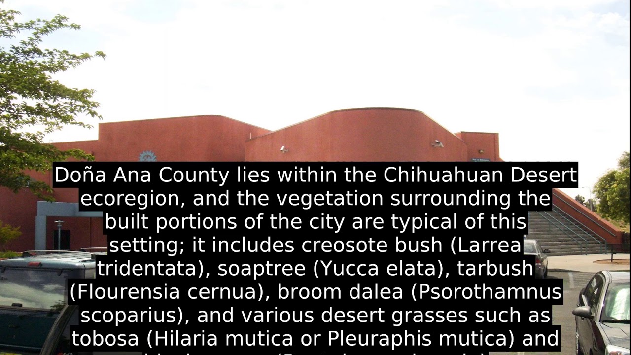 Las Cruces, New Mexico Interesting Facts YouTube