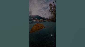 شاشه سوداء 🍁قرآن كريم 🍃 تلاوة من سورة الإنسان 🌿