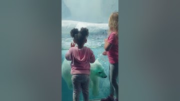 Spend your Summer at the Toledo Zoo!