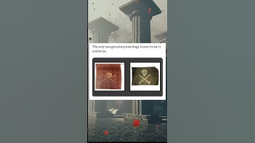 The only real Pirate Flags known. #history #pirates #europe #america #caribbean #fight  #war #sea