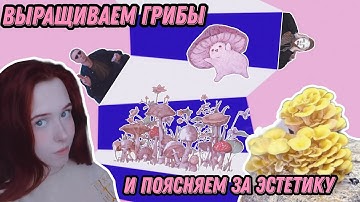 ВЫРАСТИЛА ГИГАНТСКИЙ ГРИБ (ИНТЕРНЕТ-ЭСТЕТИКА)