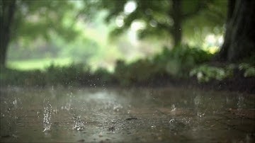 فقلت استغفروا ربكم إنه كان غفارا - القارئ هلويست نصر الدين الكردي