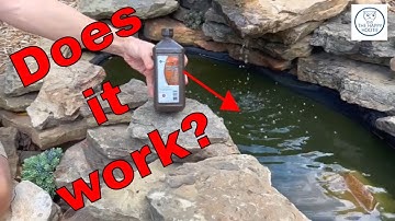The Best Way to Remove Green Algae from a Pond