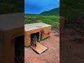 Creative &amp; Professional Bird Trap Tutorial | Easy Cardboard Box Bird Catcher 😍 #shorts