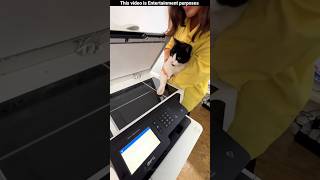 Download Lagu She Saved Her Cat’s Paw Forever 😻🥹~mini wood toy-woodworking art skill #shorts #usa MP3