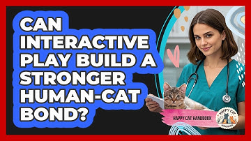 Can Interactive Play Build A Stronger Human-cat Bond? - Happy Cat Handbook
