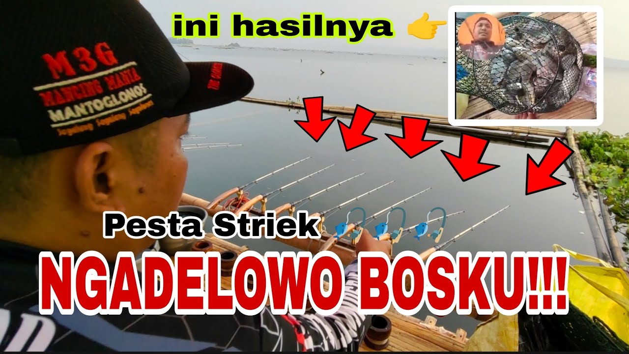 TRIK PESTA STRIEK!!! ALA SI BACEM RACING MULTIMEDIA, Mancing Jatiluhur Terbaru