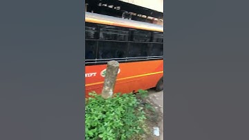 KSRTC K Swift Bus Accident