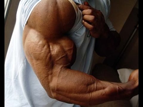 Бодибилдинг.Лучшие упражнения для бицепса