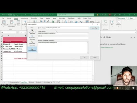 New Perspectives Excel 2019 Module 5 SAM Project 1b | Min Jee Woo Artwork