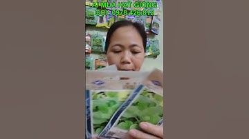 cửa hàng bán hạt giống mùng tơi nhập khẩu thái lan nguyên bao bì cho bà con ai cần , giao hàng toàn