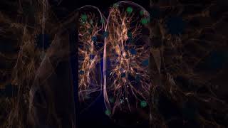 Symptoms of Pneumonia
