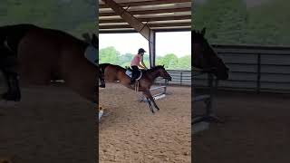 Highest jump= 2’9