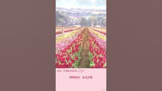 Download lagu 陳蕾_相信一切是最好的安排 Lyrics 中文歌詞