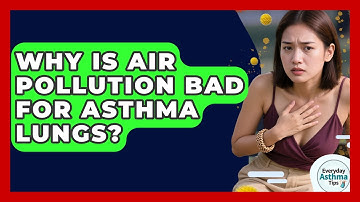 Why Is Air Pollution Bad For Asthma Lungs? - Everyday Asthma Tips
