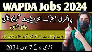 WAPDA Jobs 2024 - Latest WAPDA Jobs 2024 Complete Apply Process - Sanam Dilshad