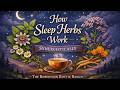 How Sleep Herbs Work Synergistically | A Gentle, Herbal Approach to Rest