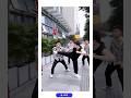 Kung Fu Mu | Grace in Motion, Power in Every Strike