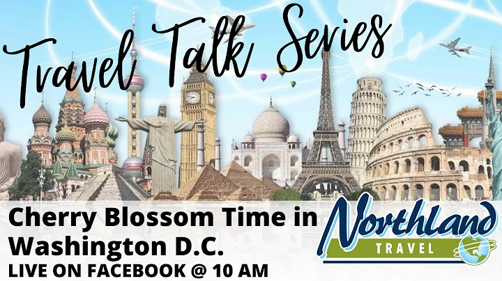 Cherry Blossom in Washington D.C. Travel Talk