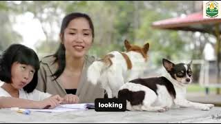 Chapter 6: Case Studies and Real-Life Examples