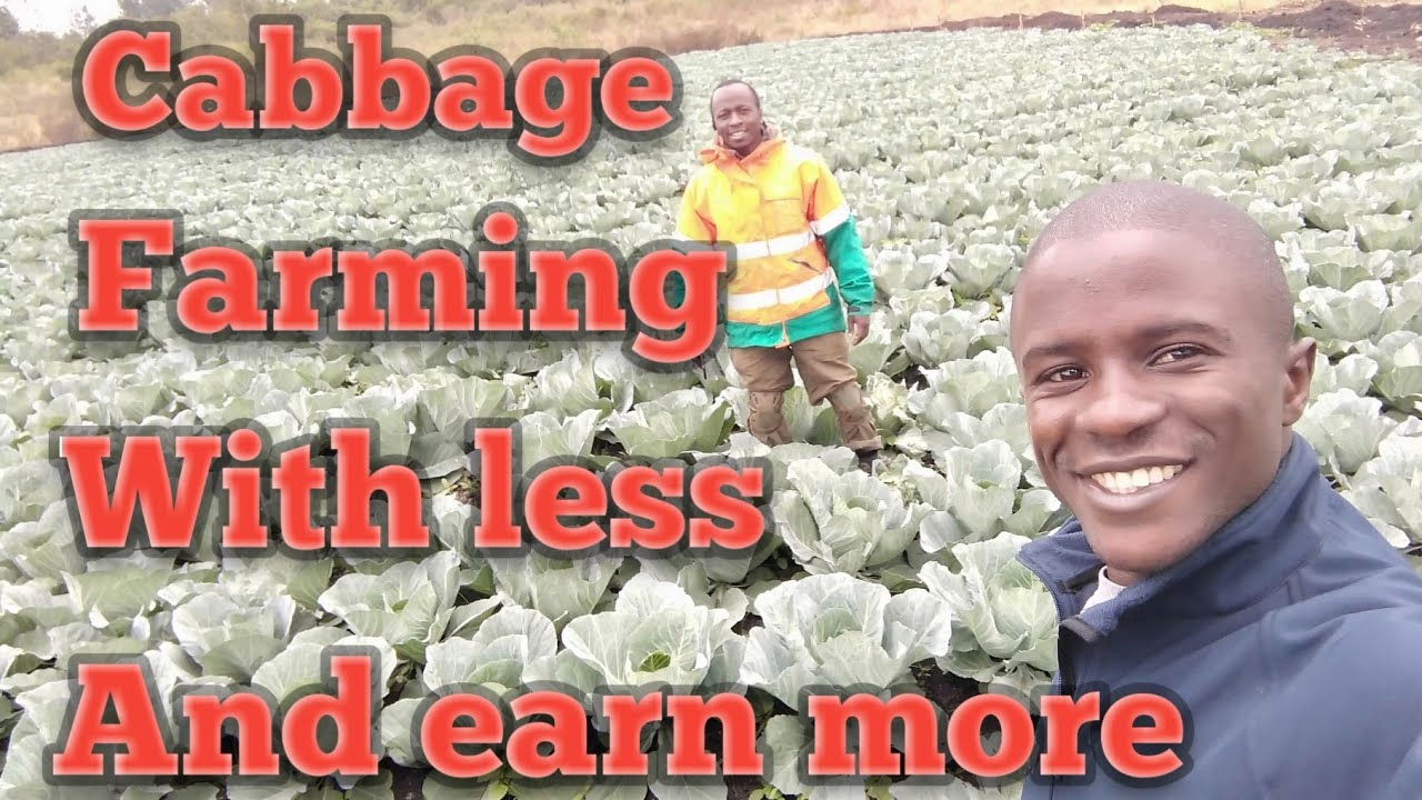 Farm Visit and Training on how to farm, produce with less and earn