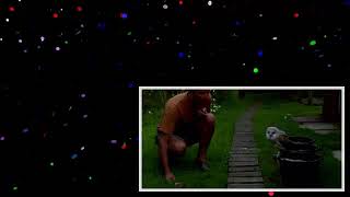 Cute Barn Owl Learns How To Fly _ Super Powered Owls _ BBC