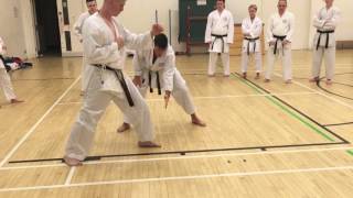 Kumite reverse punch