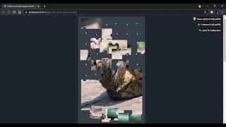 G.PIX: Cat Photo Jigsaw Puzzle by GridEyePIX screenshot 3