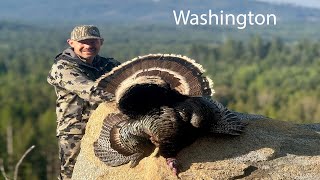 Washington State High Mountain Turkey Hunt