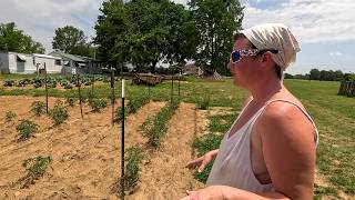 May Garden Update
