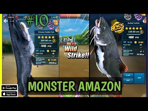 Mancing Mania Amazon Tour❗ACE FISHING : WILD CATCH Gameplay #10 #SouthMGames