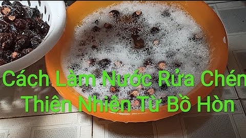 Cách Làm Nước Rửa Chén Thiên Nhiên Từ Qủa Bồ Hòn [An Toàn và Dễ Làm]