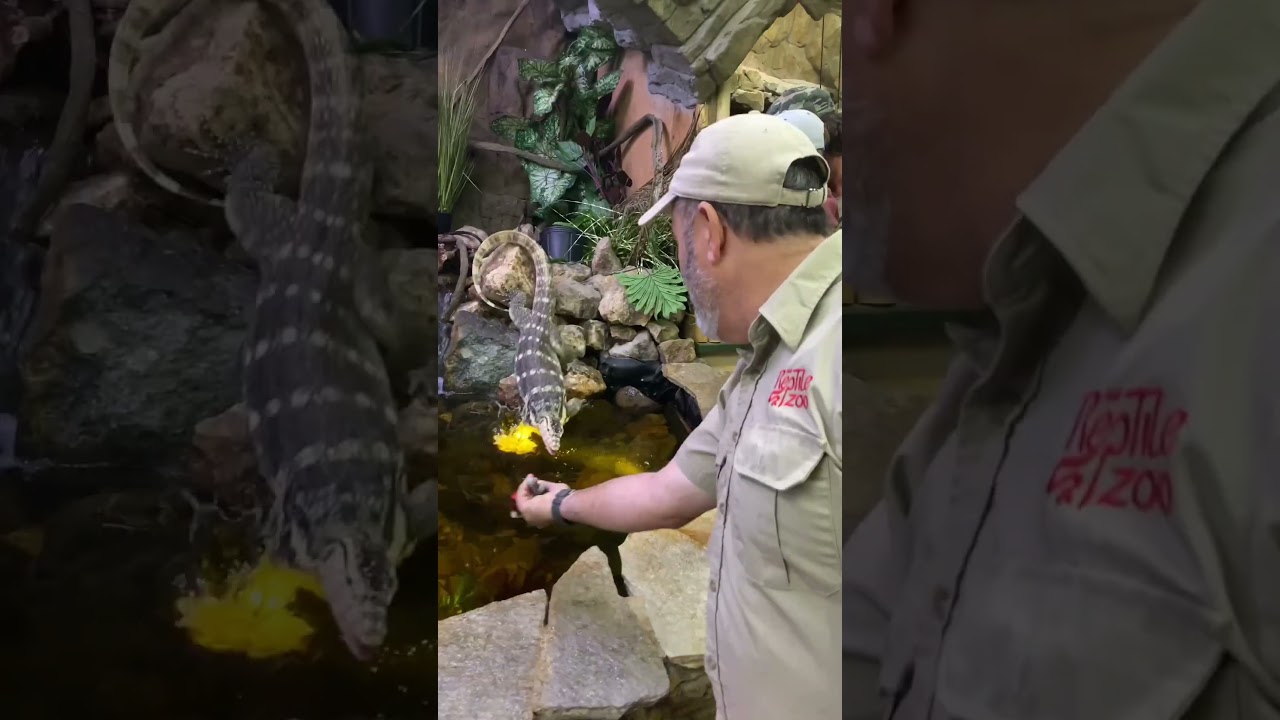 Giving our water monitors some exercise 💪
