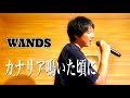 【歌ってみた】カナリア鳴いた頃に/WANDS