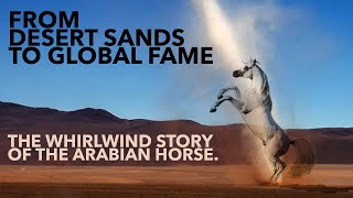 FROM DESERT SANDS TO GLOBAL FAME  The Whirlwind Story of the Arabian Horse