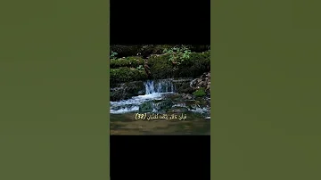 ابداع بلا حدود Islamicreminder Quran Spirituality Islamicmotivation استغفار Hereafter 