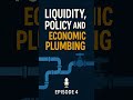 Liquidity, Policy and the Economic Plumbing
